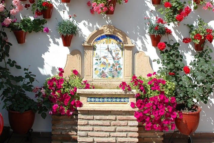 Authentic Patios of Cordoba Guided Tour