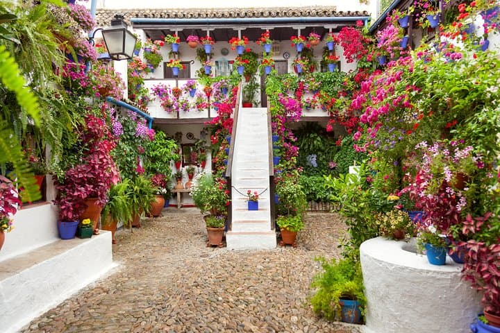 Authentic Patios of Cordoba Guided Tour