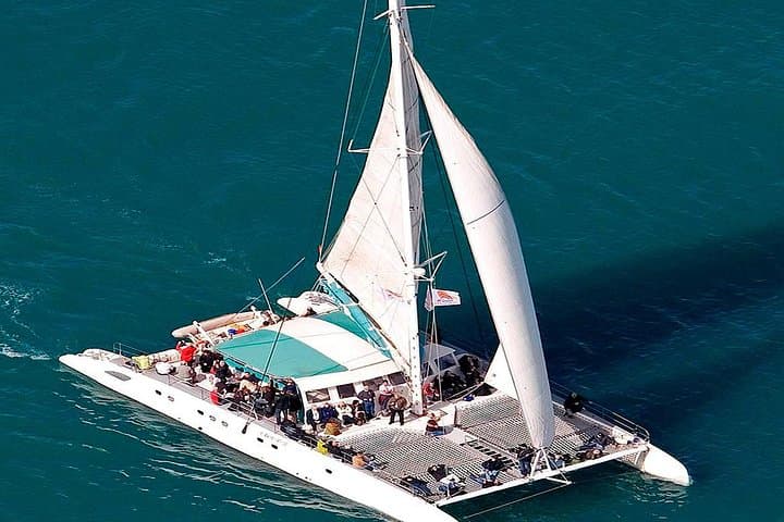 Day Cruise Party with Lunch On Board & Cocktail