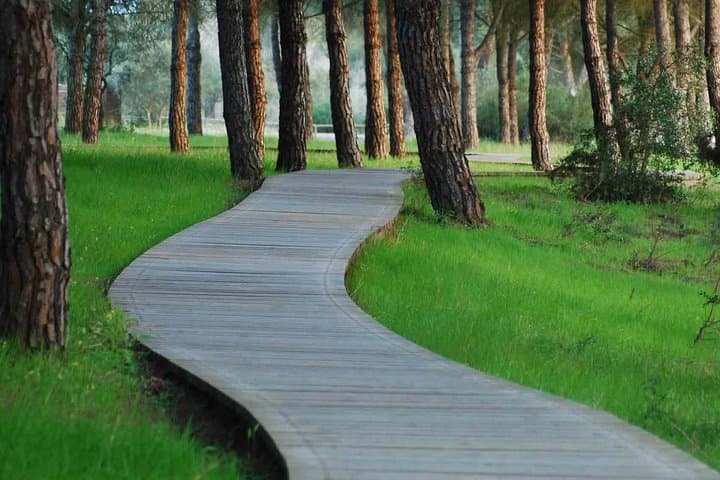 Donana Natural Park