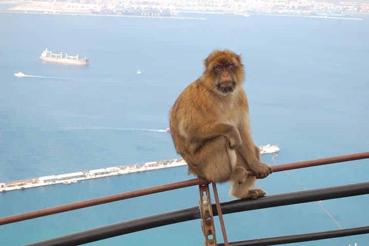 Gibraltar Day Trip from Seville