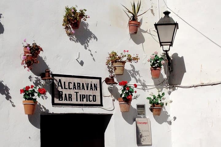 Private Seville Transfer to Malaga Including Visit to Ronda