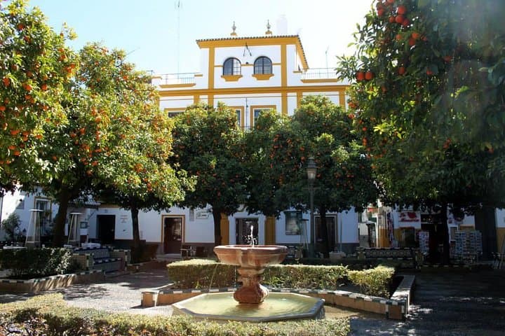 Learn Spanish Seville Santa Cruz Walking Tour