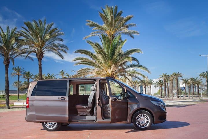 Vehicle type