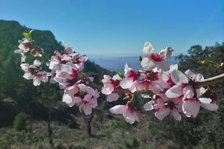 Costa Blanca Guided Walk
