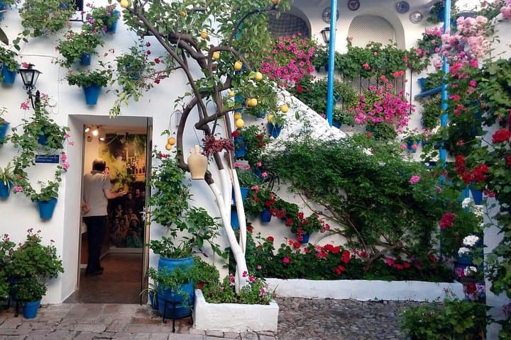 Private Tour: the Courtyards of Cordoba