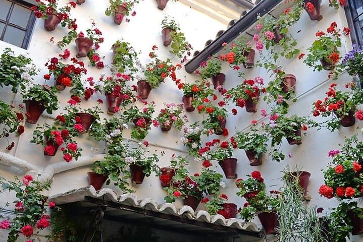Private Tour: the Courtyards of Cordoba