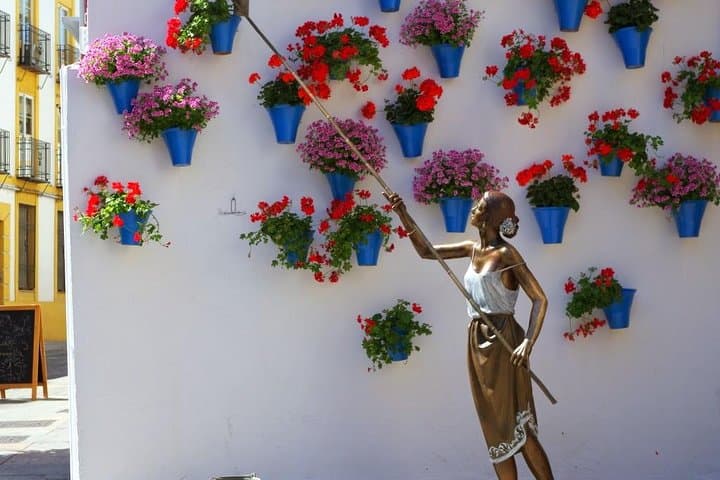 Private Tour: the Courtyards of Cordoba