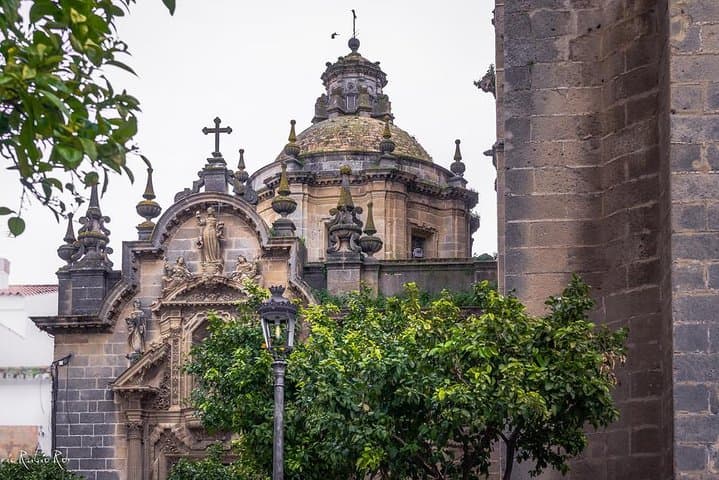 Private 4-Hours Tour of Jerez de la Frontera from Cadiz
