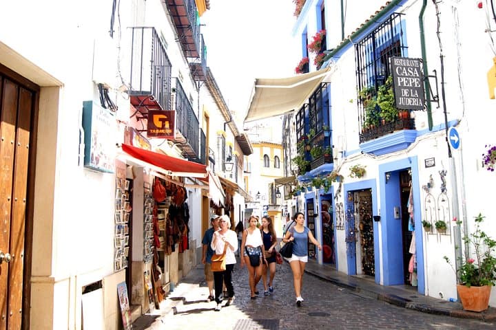 Full-Day Cordoba Tour from Granada: Mezquita Visit Included