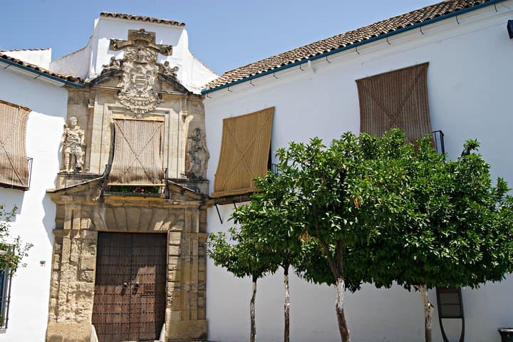 Full-Day Cordoba Tour from Granada: Mezquita Visit Included