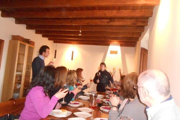 Tasting wines in a winery of Ribera del Duero