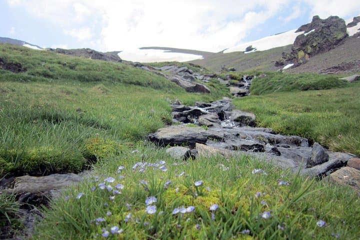 Sierra Nevada Day Trip from Granada. Small group up to 8 pax