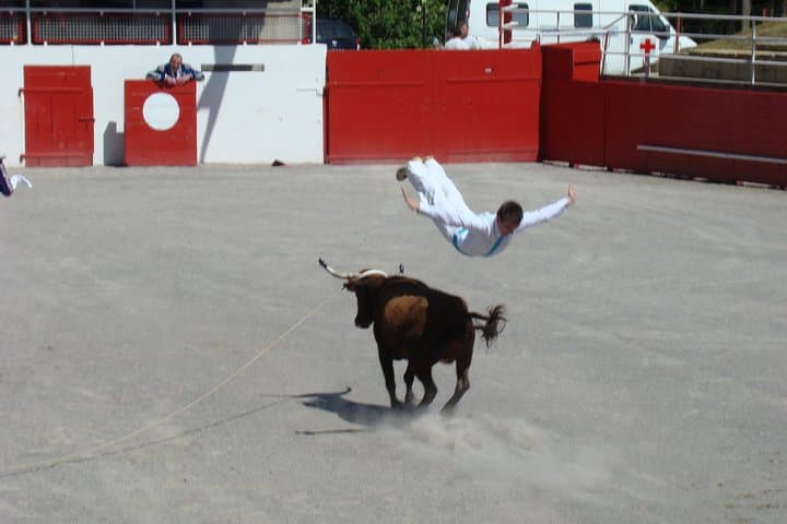 Local sports... (No animals were hurt!)