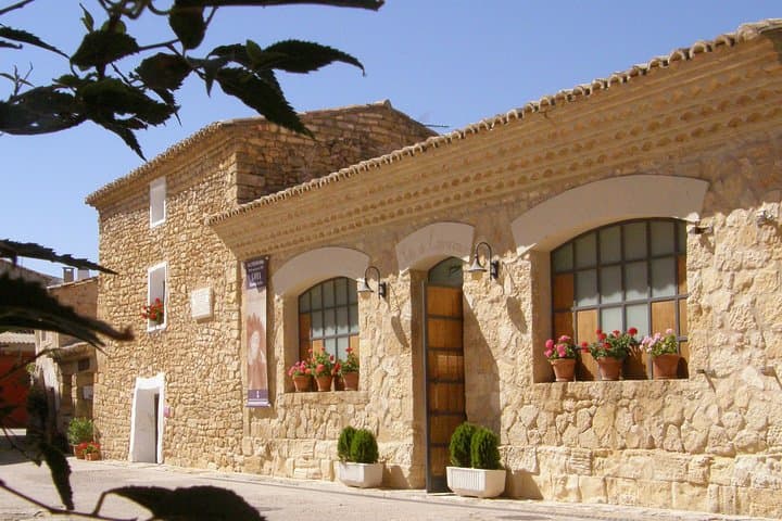 Full-Day Wine Excursion and Visit Goya Birthplace