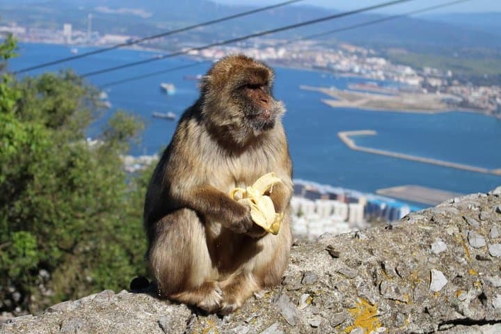 Private Day Trip To Gibraltar from Marbella or Marbella