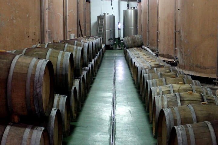 Visit Bodegas Teneguía winery in La Palma with wine Tasting