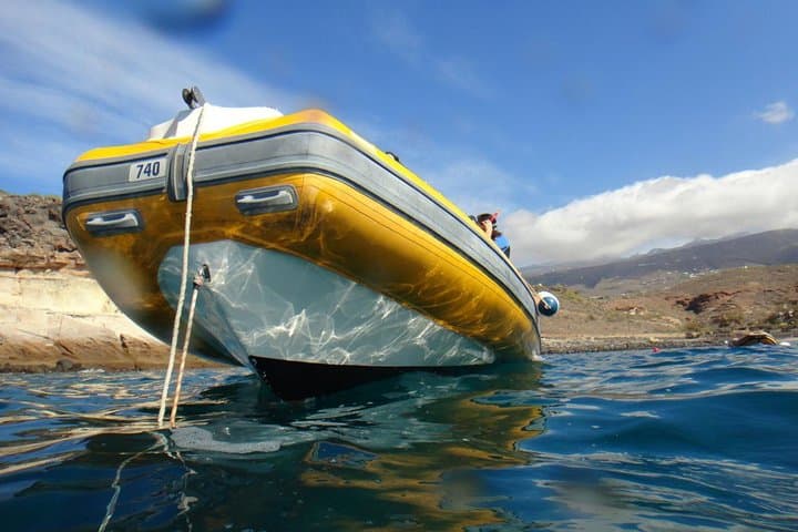 Tenerife Turtle and Snorkel Tour from Costa Adeje