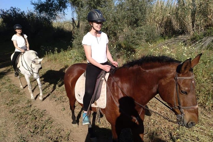 Horse Riding Excursion from Seville