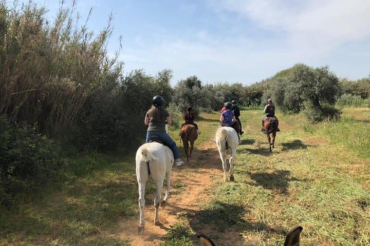 Horse Riding Excursion from Seville