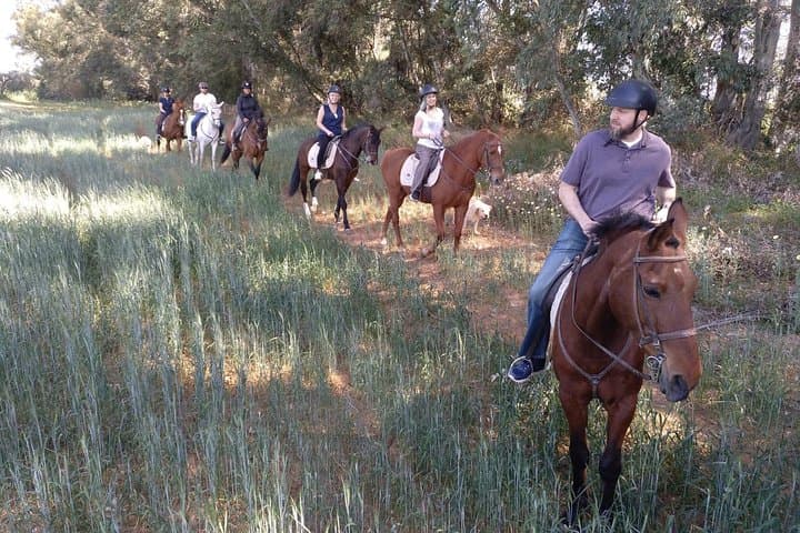 Horse Riding Excursion from Seville