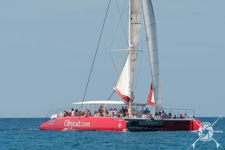 Catamaran Half-Day Cruise from Caleta de Fuste