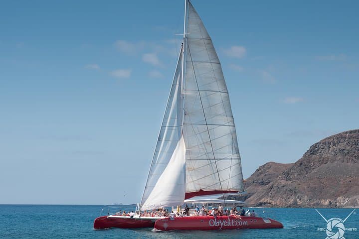 Catamaran Half-Day Cruise from Caleta de Fuste
