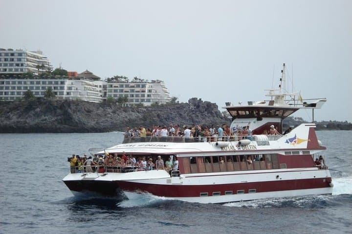 2-Hour whale & dolphin watching mini cruise from Puerto Colón