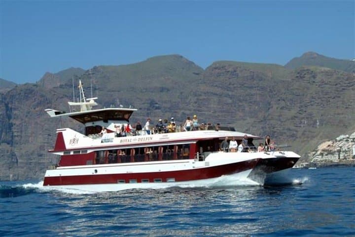 2-Hour whale & dolphin watching mini cruise from Puerto Colón