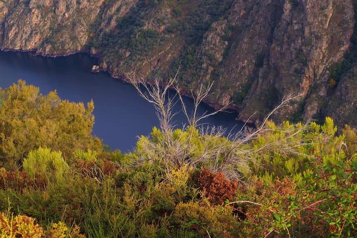 Galicia