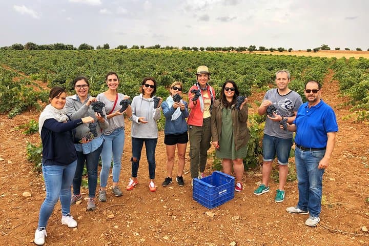 Private Winery Tour near Madrid with Sommelier (6-hour)