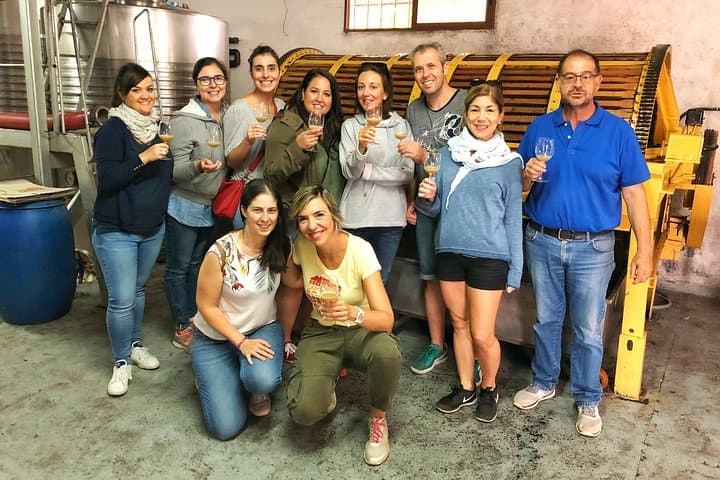 Private Winery Tour near Madrid with Sommelier (6-hour)