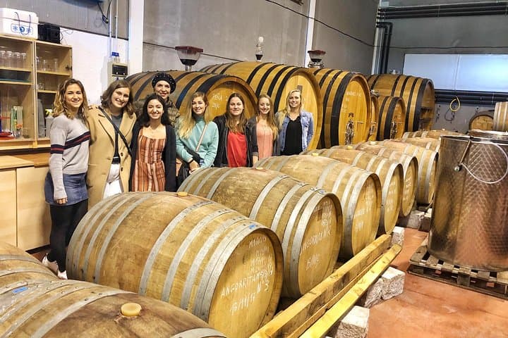Private Winery Tour near Madrid with Sommelier (6-hour)