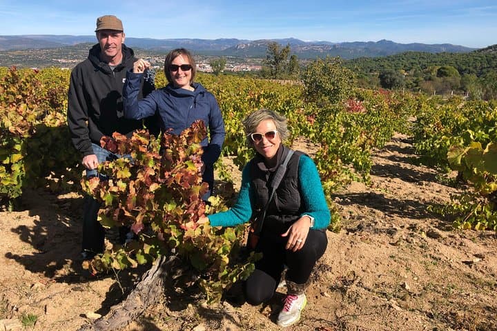 Private Winery Tour near Madrid with Sommelier (6-hour)