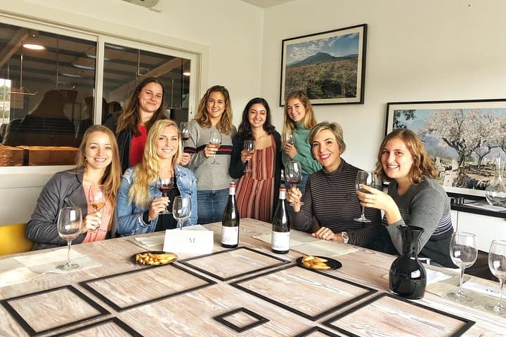 Private Winery Tour near Madrid with Sommelier (6-hour)
