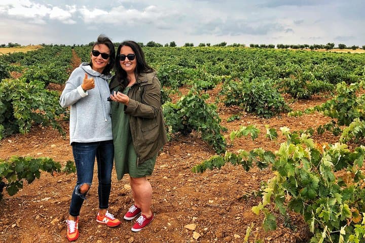Private Winery Tour near Madrid with Sommelier (6-hour)