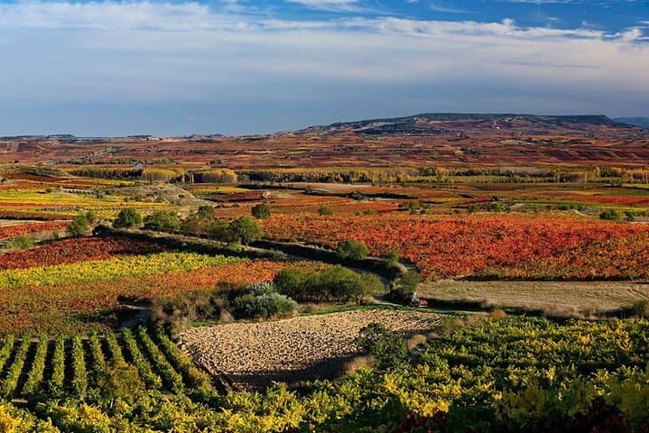 Rioja Alavesa Wineries and Medieval Villages Day Trip