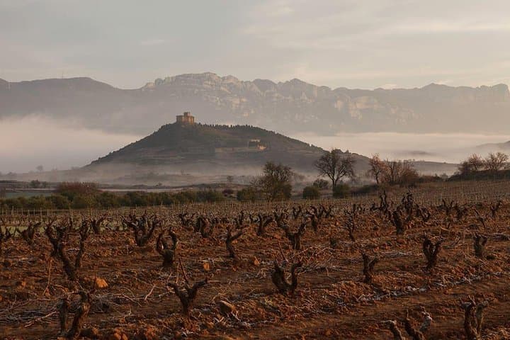 Rioja Alavesa Wineries and Medieval Villages Day Trip