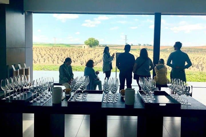 Watching a beautiful vineyard