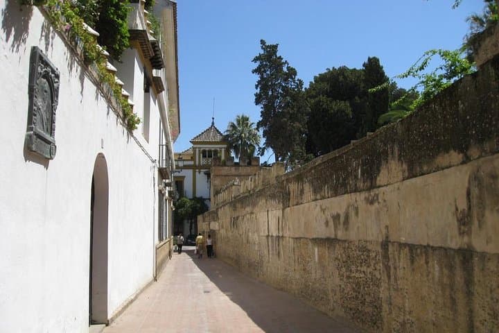 Stroll through the old wall of Seville.