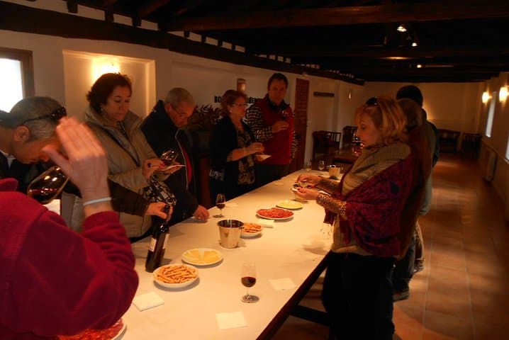 Wine tasting in a winery in the province of Toledo