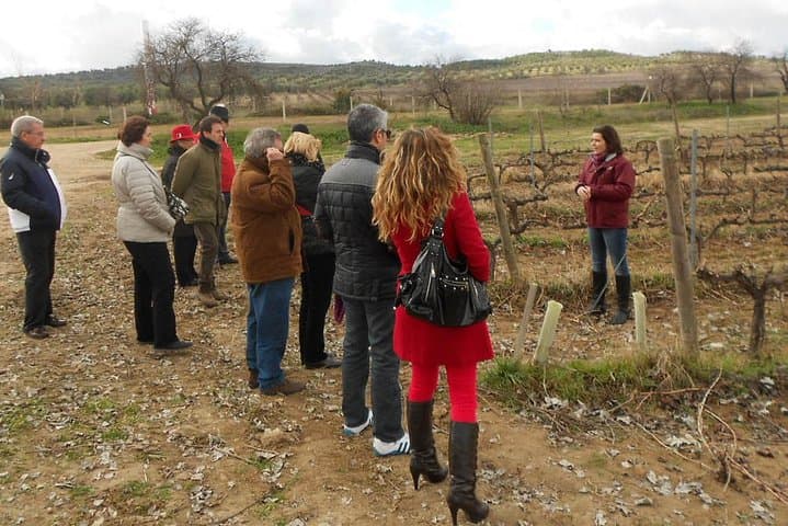 In the vineyard.