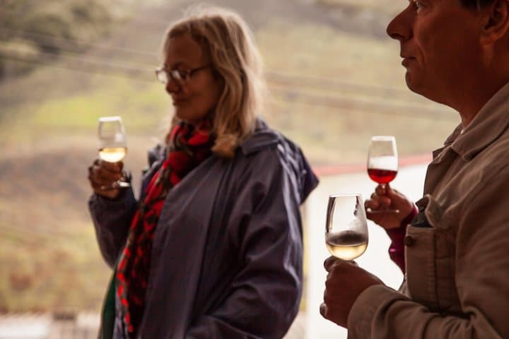 Half day to Bandama Caldera, Botanical experience & Wine-Tasting