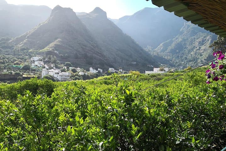 Day Tour in North of Gran Canaria with Wine Tasting