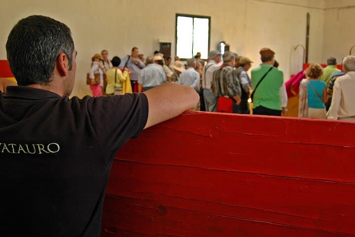 Andalucia Bull and Horse Farm and Ronda Private Tour from Malaga
