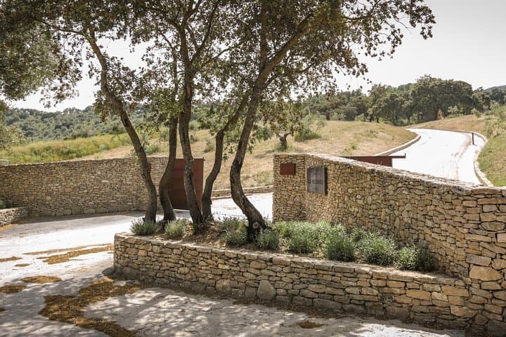Ronda Private Full Day Wine Tour