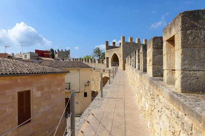 Scenic Guided Tour to Formentor and Alcúdia Local Market