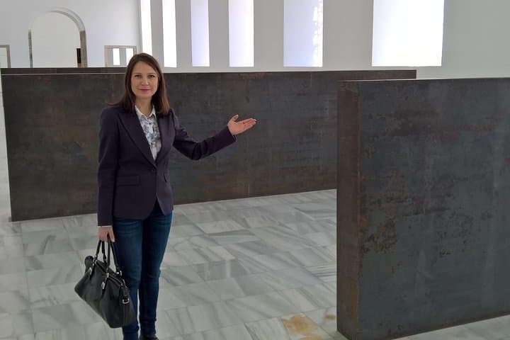Reina Sofia Museum Private Tour