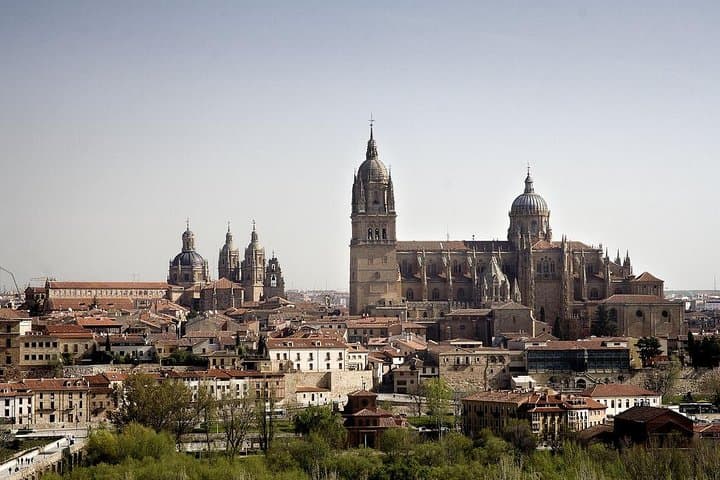 Private Full day Tour to Salamanca from Madrid hotel