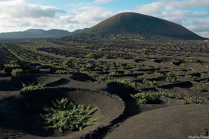 La Geria